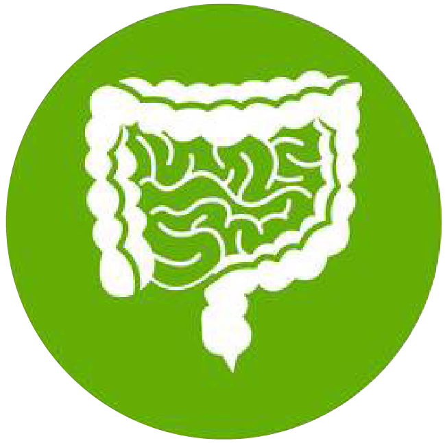 關(guān)注職場“腸”態(tài)，守護(hù)員工健康——上海格瑞特特邀消化內(nèi)科專家公益系列講座（4）(圖1)